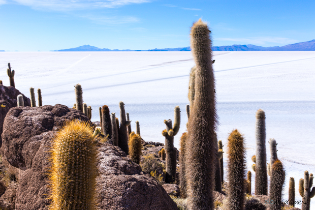 Salar de Uyuni Bolivien