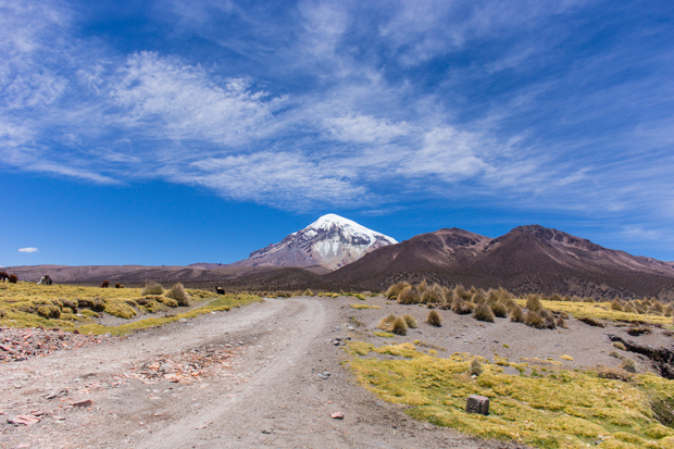 sajama nationalpark bolivien reisebericht