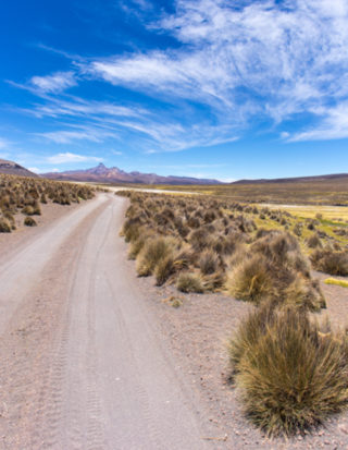 sajama nationalpark bolivien reisebericht